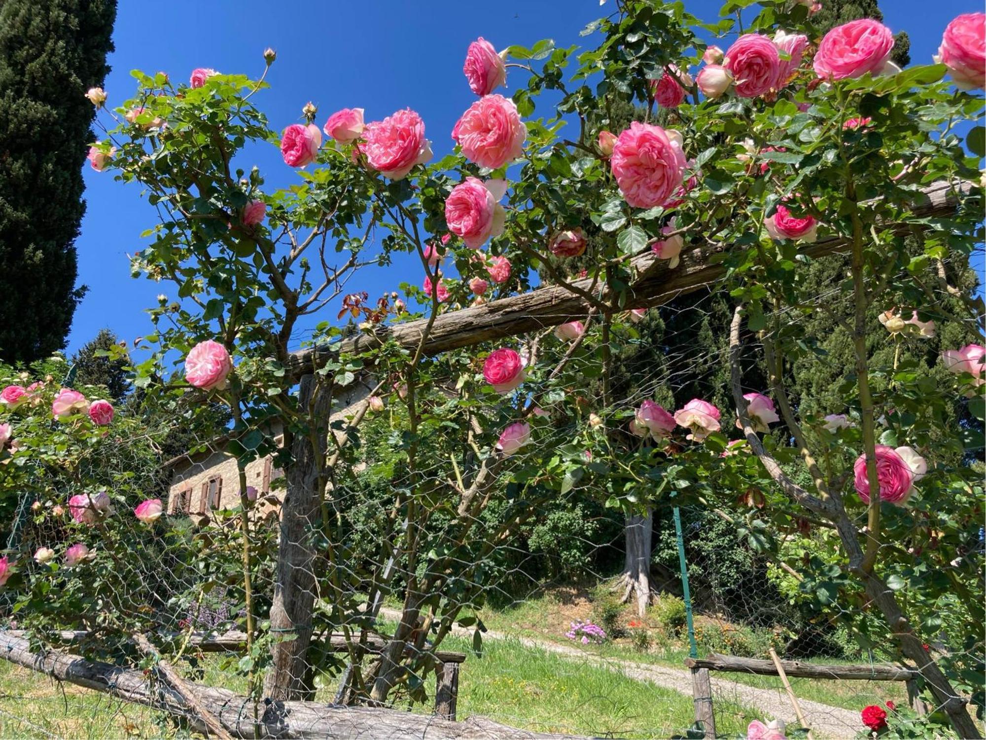 צ'טונה Agriturismo Il Caio מראה חיצוני תמונה