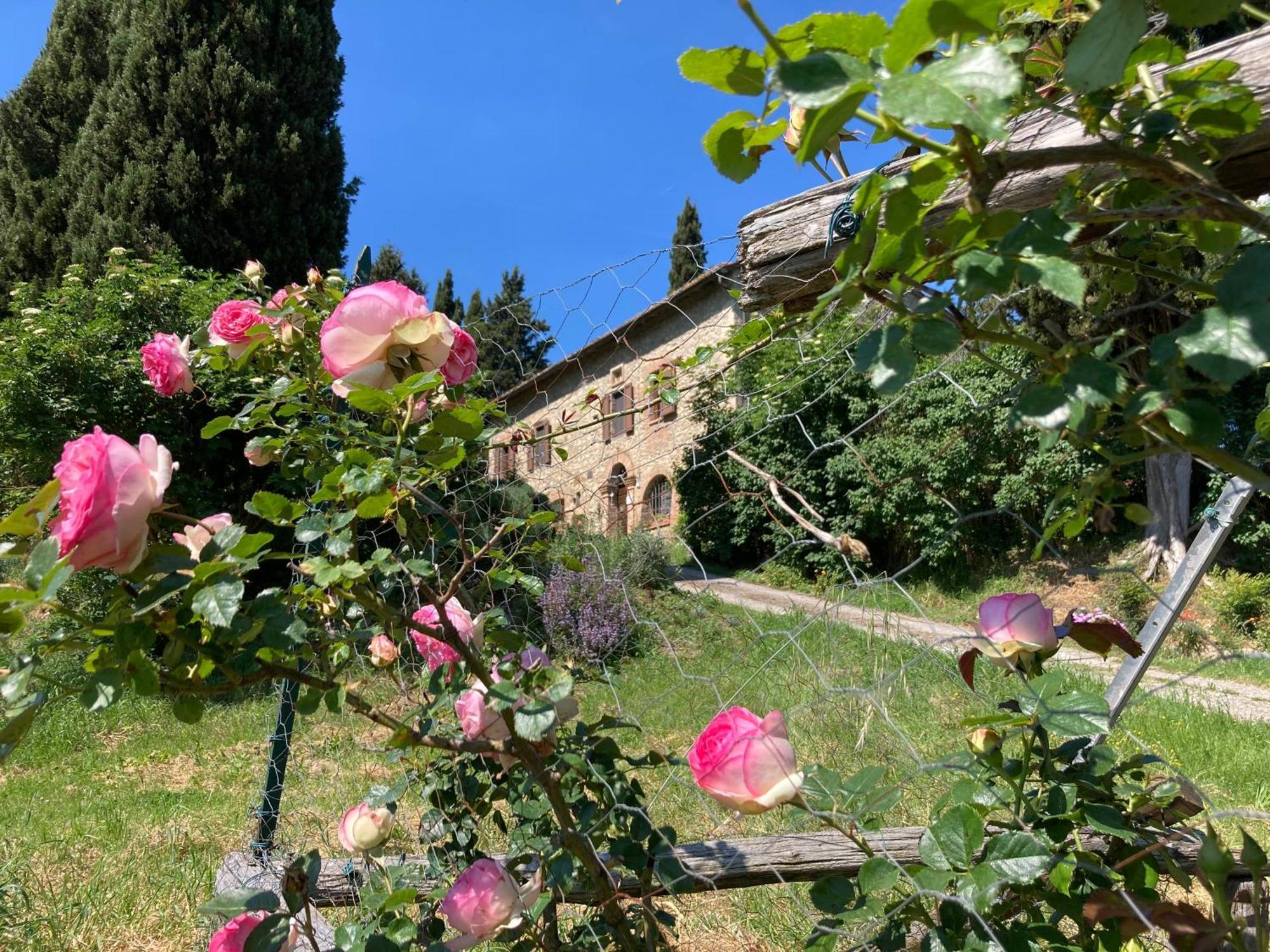 צ'טונה Agriturismo Il Caio מראה חיצוני תמונה