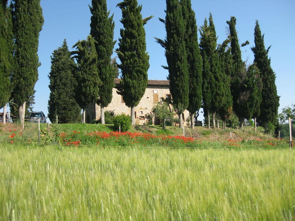 צ'טונה Agriturismo Il Caio מראה חיצוני תמונה